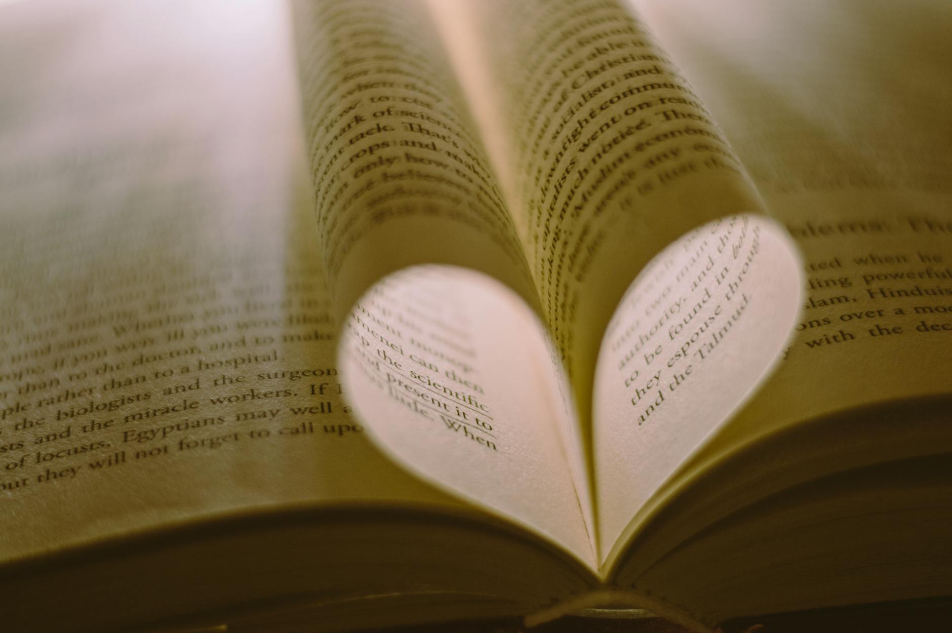 Book 2 – The Monk